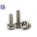 Slotted pan head screw and spring washer assemblies
